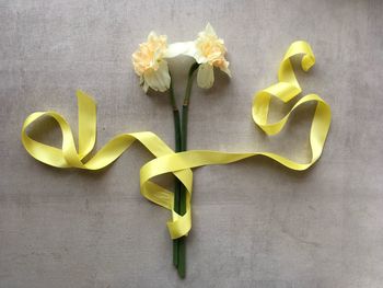 High angle view of yellow flower on table