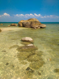 Scenic view of sea shore against sky