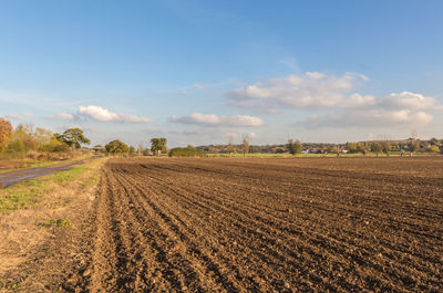 Scenic view of agricultural field against sky