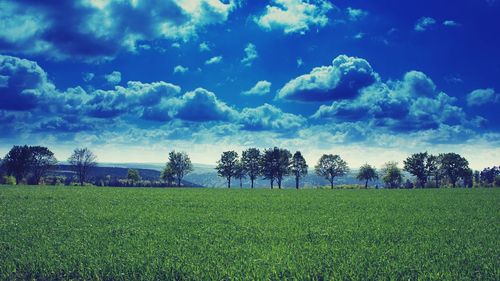 Scenic view of field against sky