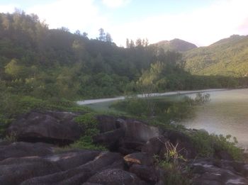 Scenic view of lake by trees against sky
