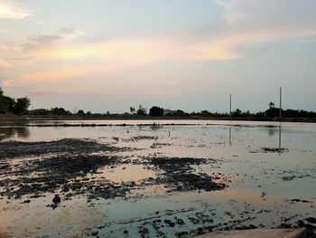 Scenic view of beach against sky during sunset