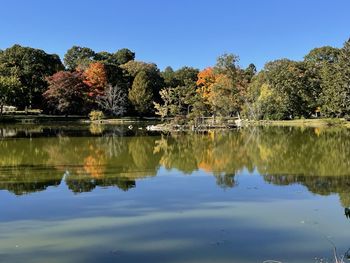 reflection