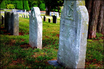 View of cemetery