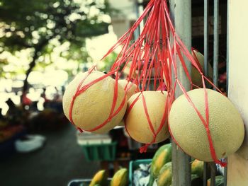 Close-up of decoration hanging on tree