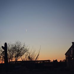 Silhouette of trees at sunset