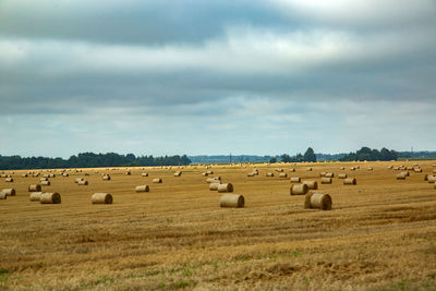 Hay bales on field against sky