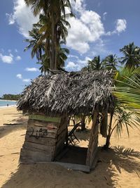 Palm trees on beach against sky