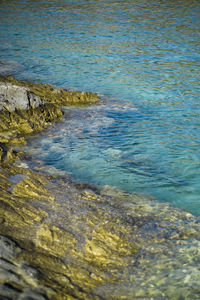 Close-up of sea shore