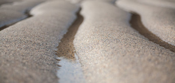 Surface level of sand