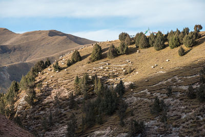 Scenic view of landscape against sky