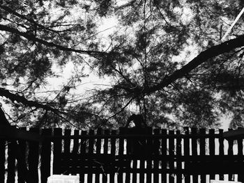 Low angle view of silhouette trees against sky