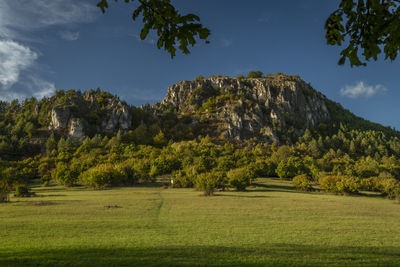 Scenic view of field against sky