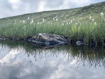 Scenic view of lake against sky