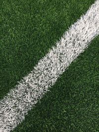 High angle view of white single line on soccer field