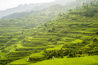 High angle view of field