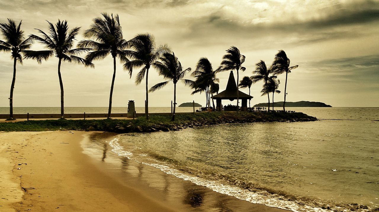 sea, beach, water, palm tree, sky, horizon over water, shore, tranquil scene, sand, tranquility, scenics, beauty in nature, cloud - sky, tree, nature, cloud, cloudy, idyllic, coastline, silhouette