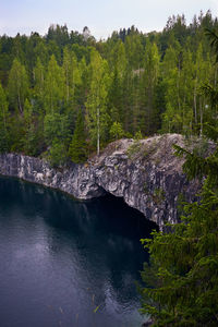 Scenic view of waterfall in forest