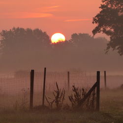 Scenic view of sunset over field