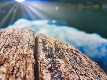 Close-up of wood against trees