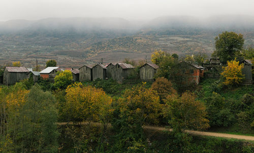 Trees and houses in village