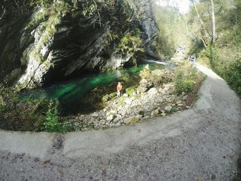 People standing in water