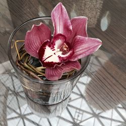 Close-up of flower on table