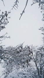 Scenic view of snow covered field against sky