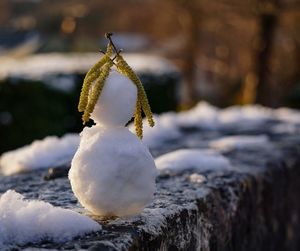 Close-up of frozen hanging outdoors