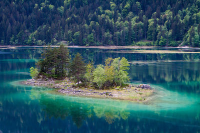 Scenic view of lake by trees in forest