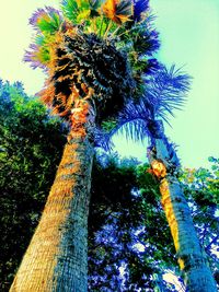 Low angle view of fresh tree against blue sky