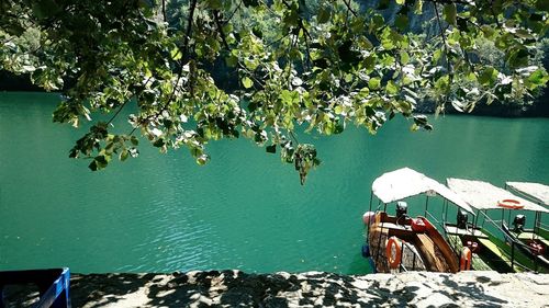 High angle view of trees by sea