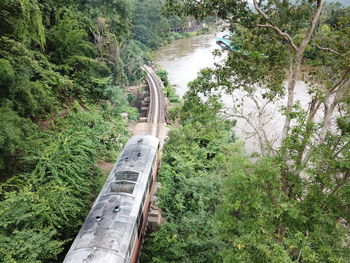 High angle view of railroad tracks amidst trees in forest