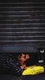 Portrait of man relaxing on wall