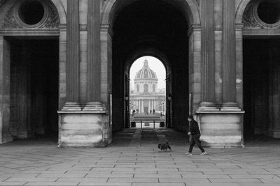Dog in front of built structure