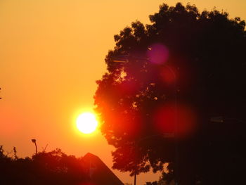 Silhouette trees against clear sky during sunset