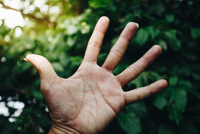 Close-up of person hand showing stop gesture against trees