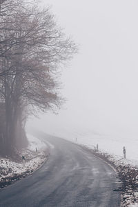 Road amidst trees against sky during winter