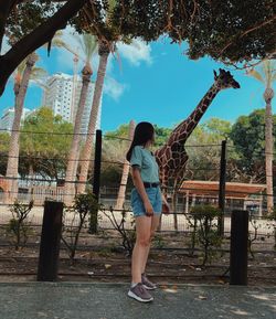 Woman standing by trees against plants