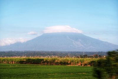 Scenic view of field against sky