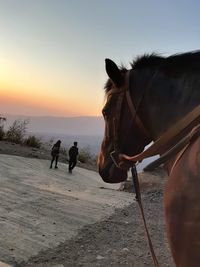 People on land against sky during sunset