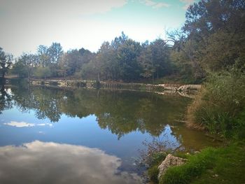 Reflection of trees in lake against sky