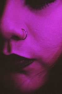 Close-up of pink rose flower