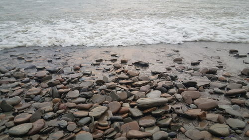 Scenic view of beach