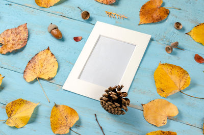 High angle view of leaves on table