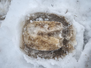 High angle view of frozen ice