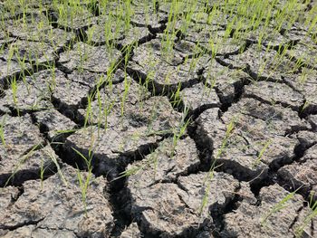 Full frame shot of rocks