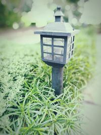 Close-up of lantern on birdhouse