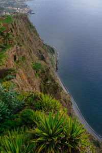 High angle view of trees by sea