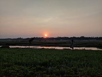 Scenic view of field against sky during sunset